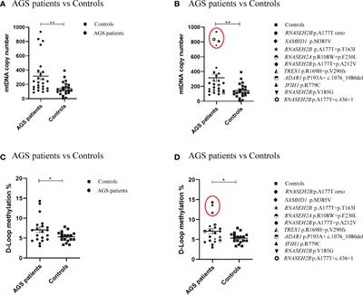 Comparison between D-loop methylation and mtDNA copy number in patients with Aicardi-Goutières Syndrome